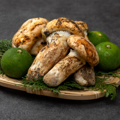 【SK125-shigerumarina】 ★★採取予約販売 14日以内発送【和歌山県】国産高級天然マツタケ 200g〜250g 中開き、開き冷蔵 朝採り産直