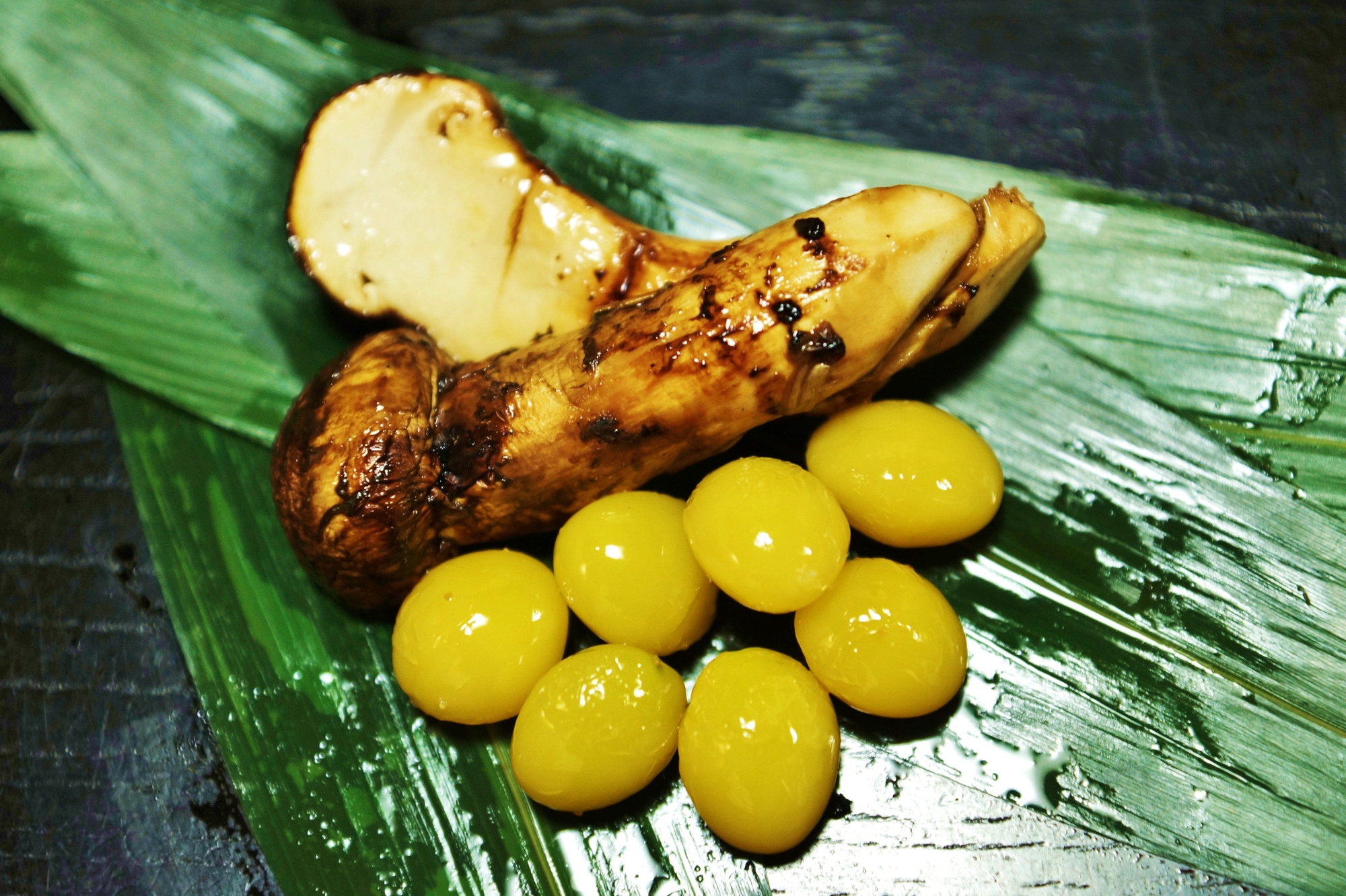 【SK124-shigerumarina】 ★★採取予約販売 14日以内発送【和歌山県】国産高級天然マツタケ 100g〜150g つぼみ冷蔵 朝採り産直 - 画像 (2)